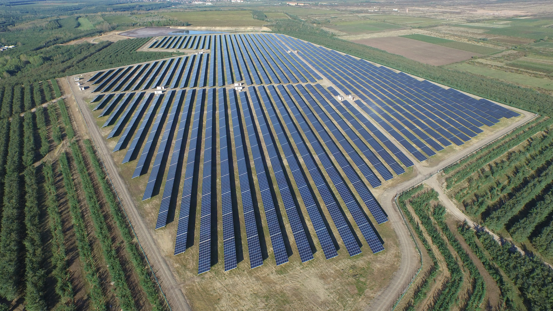 Dholera Solar Plant